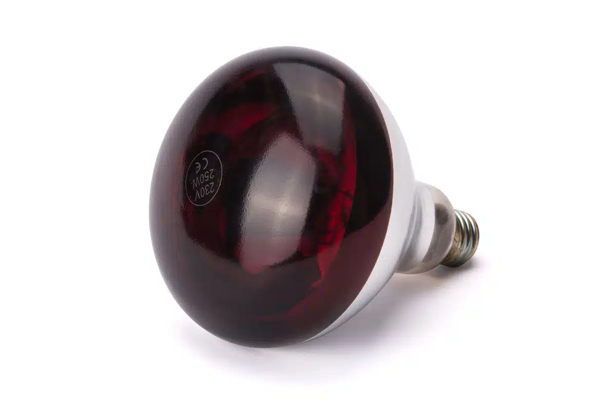 Lampadina termica a infrarossi - Ø 125 mm - 250 W | Hendi 919217