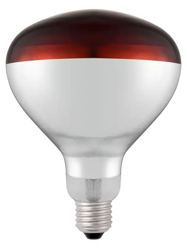 Lampadina termica a infrarossi - Ø 125 mm - 250 W | Hendi 919217
