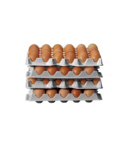 Set di 4 vassoi per uova 291x288x41 mm | Hendi 870792