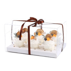 Box trasparente per 6 muffin-cupcake - set 10 pz | Gastrokitchen