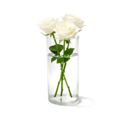 Vaso in vetro per fiori - cilindrico - Ø 10 × 24 cm | Gastrokitchen
