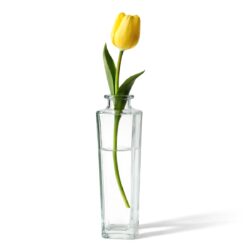 Vaso in vetro a forma di bottiglia -  Ø 5,5 x 25 cm