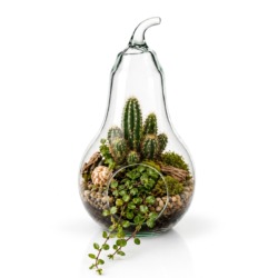 Vaso decorativo in vetro a forma di pera - 30 cm | Gastrokitchen