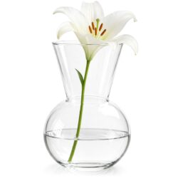 Grande vaso in vetro per fiori - 40 cm | Gastrokitchen