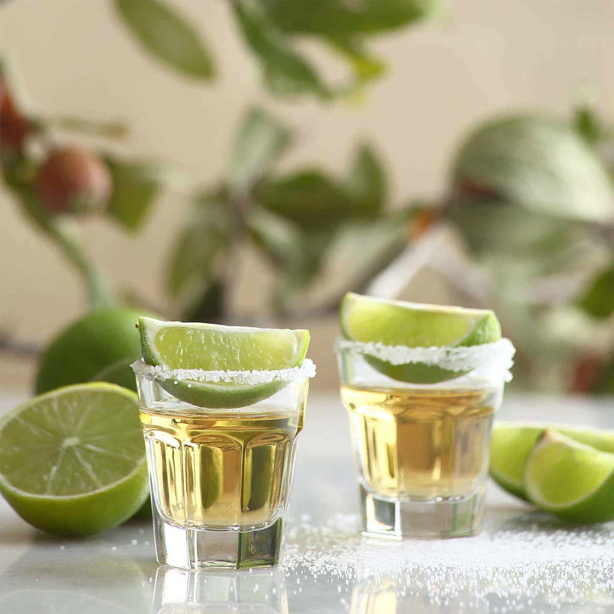 Bicchierino da liquore Alva - 45 ml | Gastrokitchen